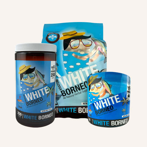 Bumble Bee White Borneo Powder